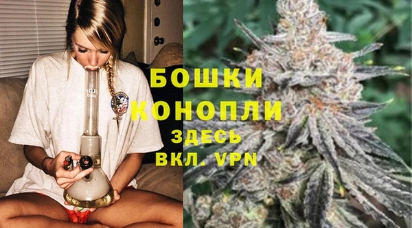 стаф Волосово