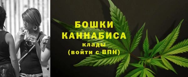 PSILOCYBIN Приозерск