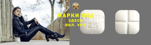 гидропоника Верея