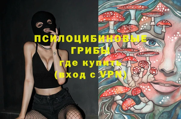 стаф Покров